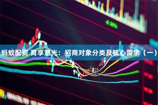 蚂蚊配资 育享慧光：招商对象分类及核心需求（一）