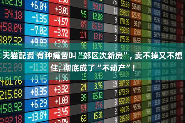天猫配资 有种痛苦叫“郊区次新房”, 卖不掉又不想住, 彻底成了“不动产”!